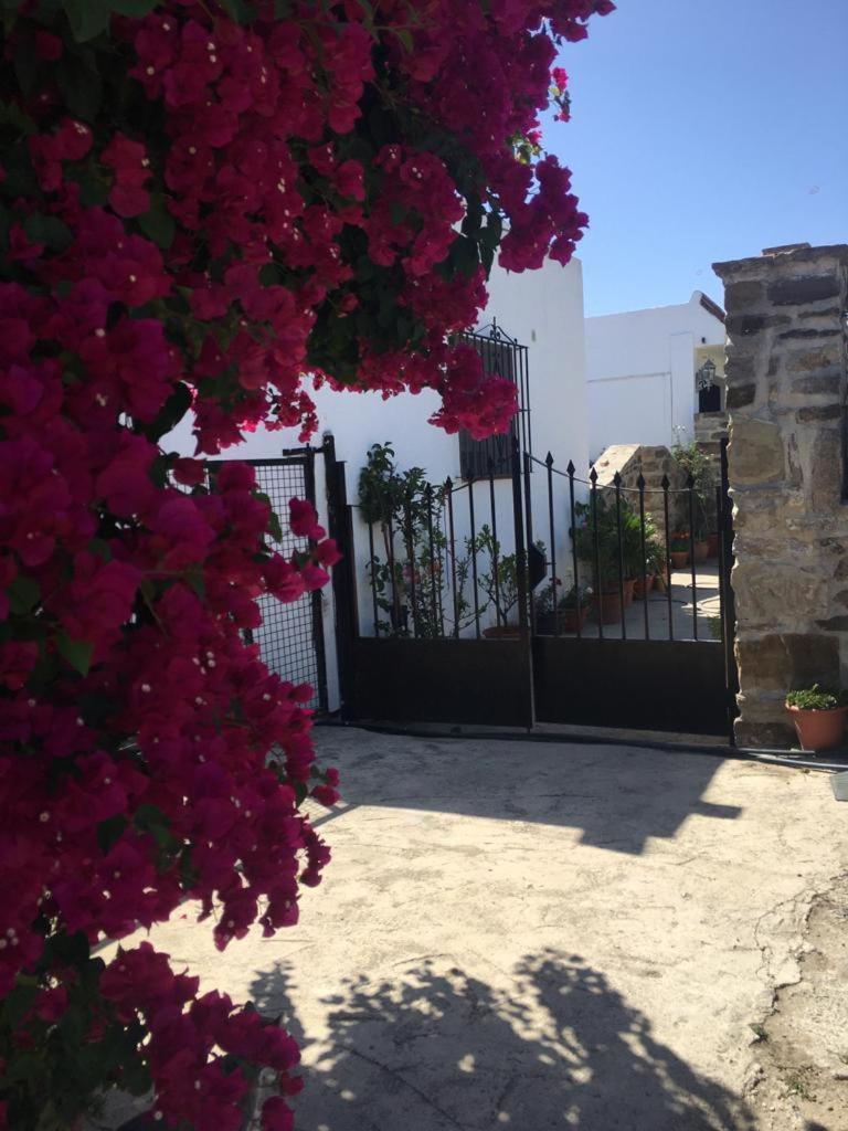 Apartamento Las Adelfas Tarifa Kültér fotó